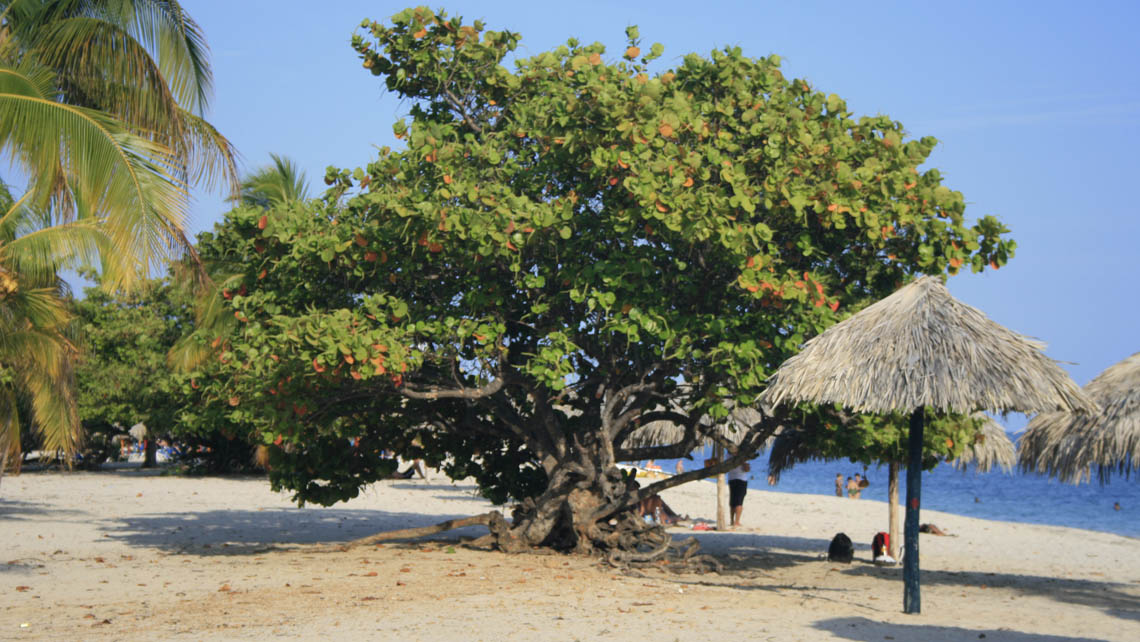 Playas del Este de La Habana