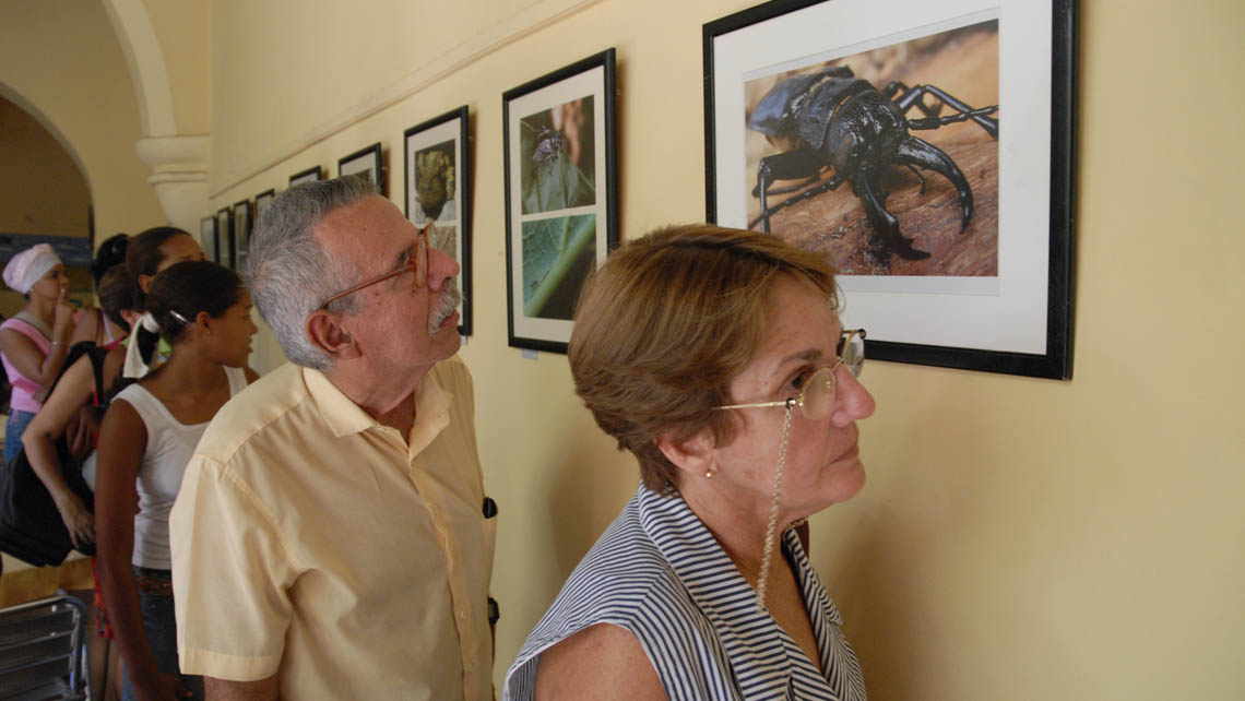 Galería de arte en La Habana