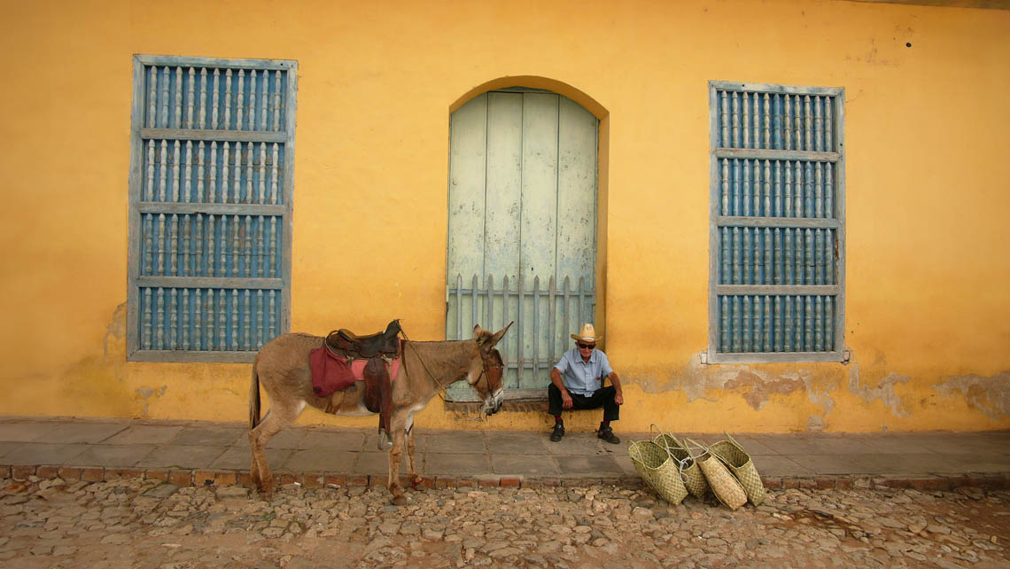 Burro en Trinidad