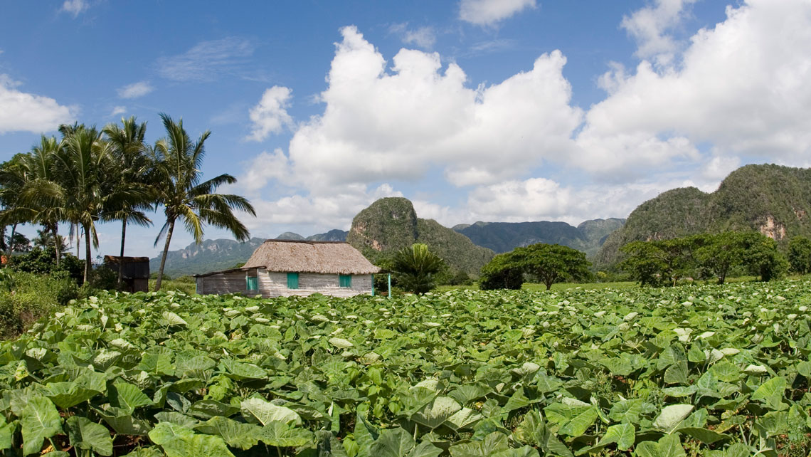 Viñales Cuba