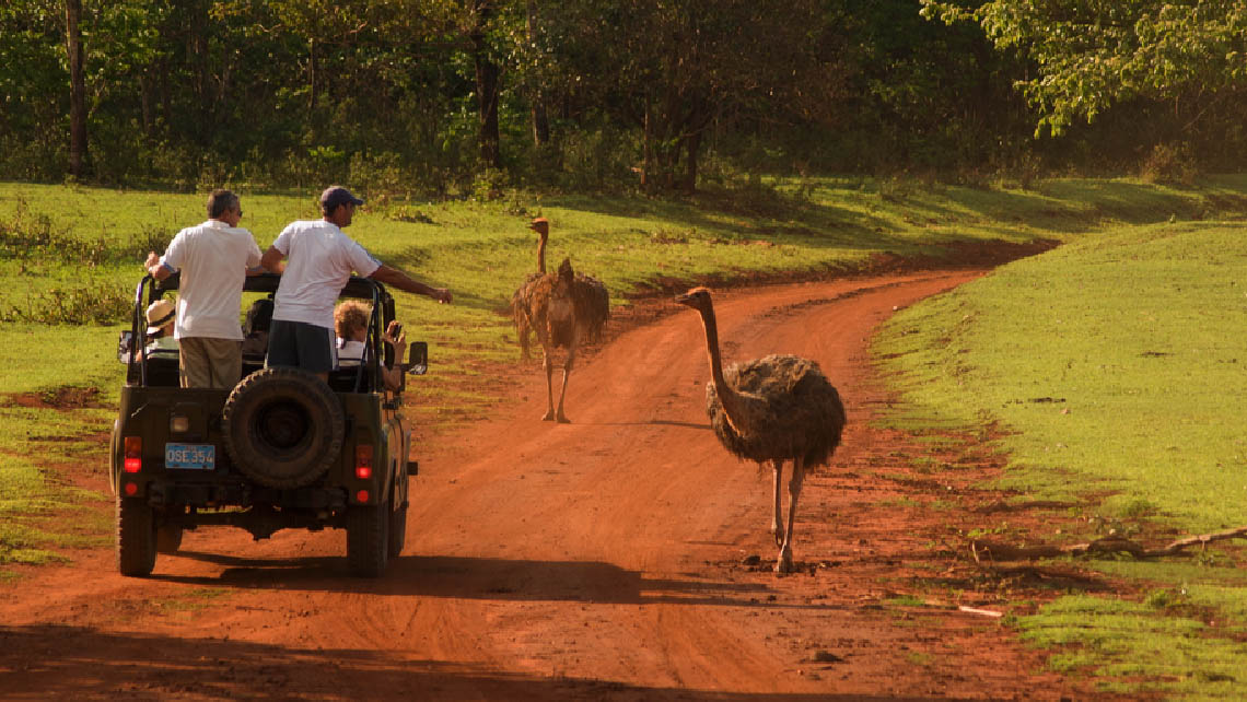 Cayo Saetía, Safari