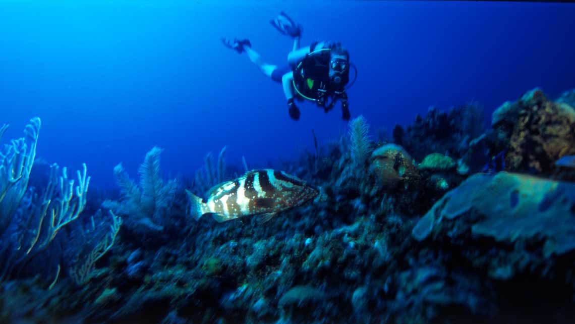 Buceo en Cayo Jutías, Cuba