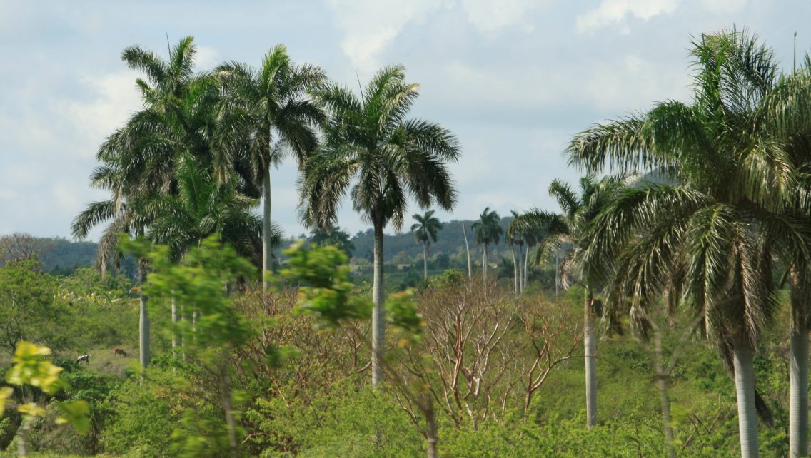 Parque Nacional Caguanes