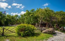 Reserva Ecológica Varahicacos: turismo de naturaleza en Cuba