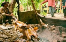 Platos de la comida cubana: los sabores más tradicionales de la Isla Platos de la comida cubana: los sabores más tradicionales de la Isla