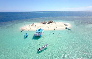 Cayo Arena
