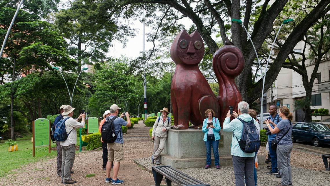 Gato de Cali
