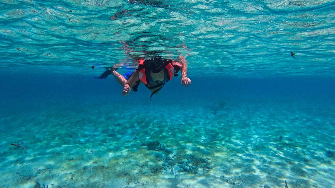 Cozumel Snorkel