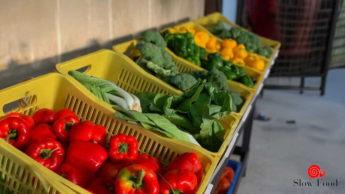 verduras del caribe